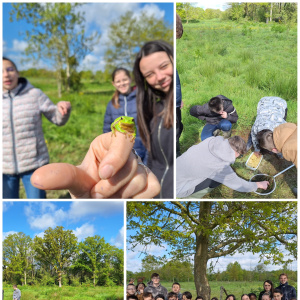 Sortie nature 2