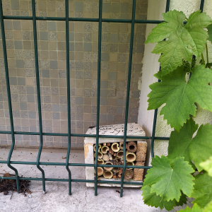 Hôtel à insectes